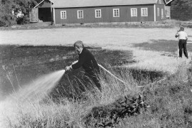 Sähkölankoihin osuneet linnut sytyttivät maastopalon Palttilan kartanon ja valtatien välissä olevalla pellolla maanantaina. Tuli eteni Palttilan pellossa juoksuvauhtia ja palokunnalla piti kiirettä saada se kuriin. Laitilan Sanomat 6.9.1985
